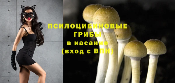 гидропоника Беломорск