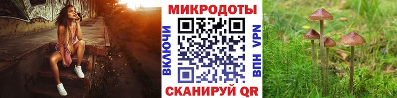 ОМГ ОМГ онион  Урус-Мартан  дарк нет Telegram  Галлюциногенные грибы мухоморы 
